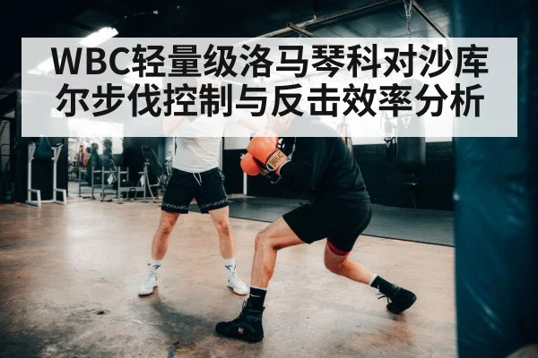 WBC轻量级洛马琴科对沙库尔步伐控制与反击效率分析
